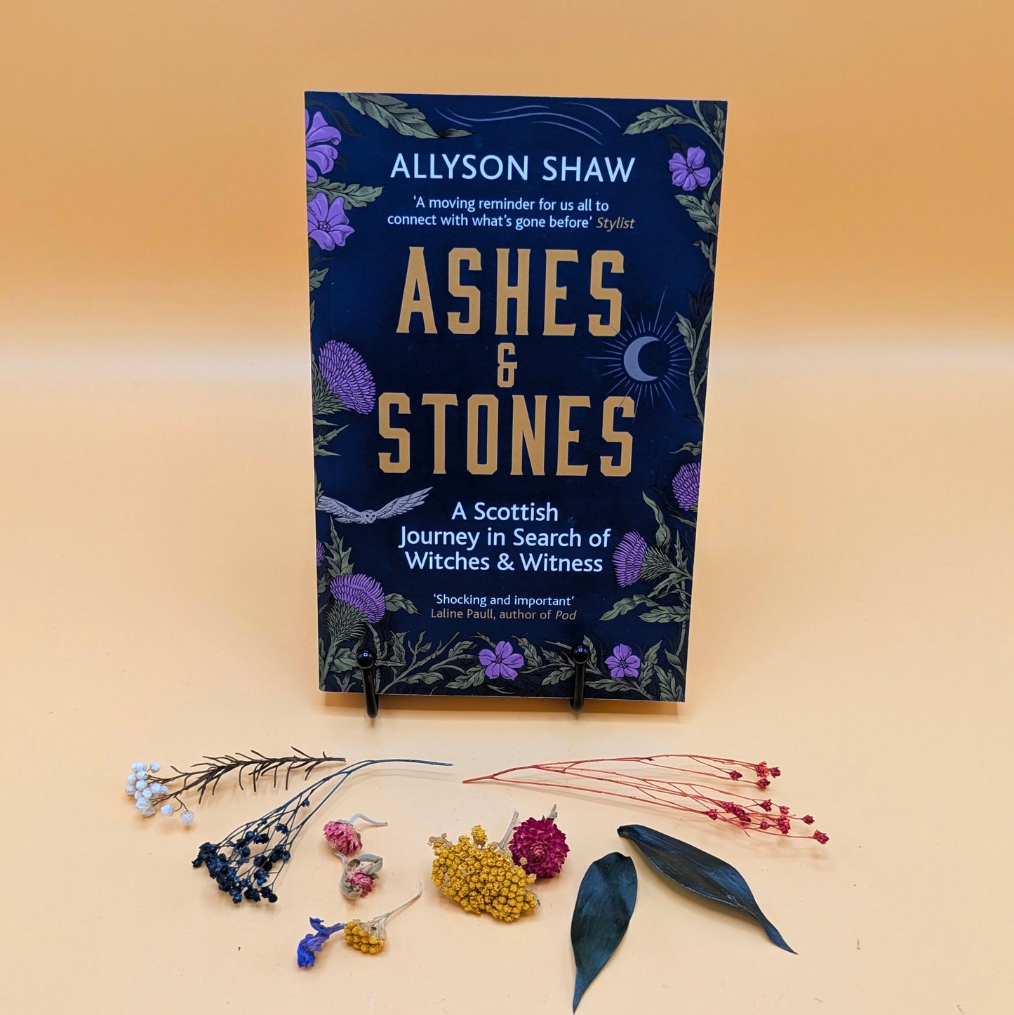 Ashes and Stones : A Scottish Journey in Search of Witches and Witness