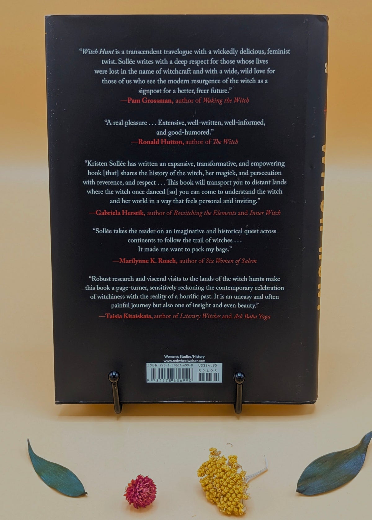 Witch Hunt : A Traveler's Guide to the Power & Persecution of the Witch