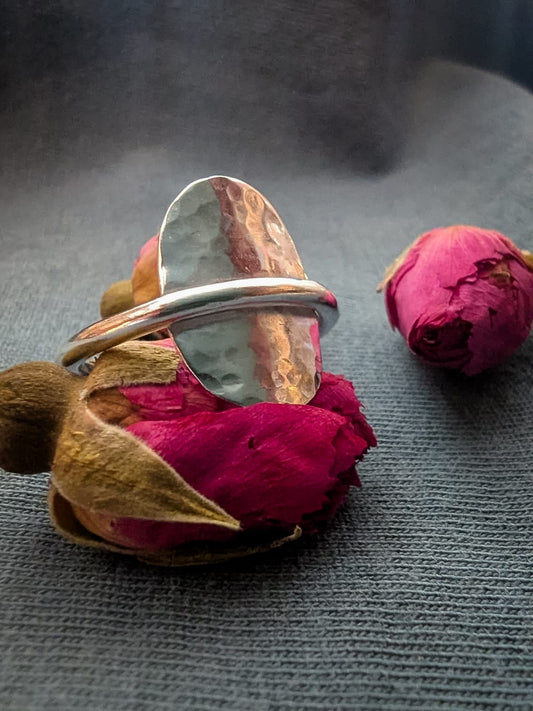 The Warrior Ring Silver