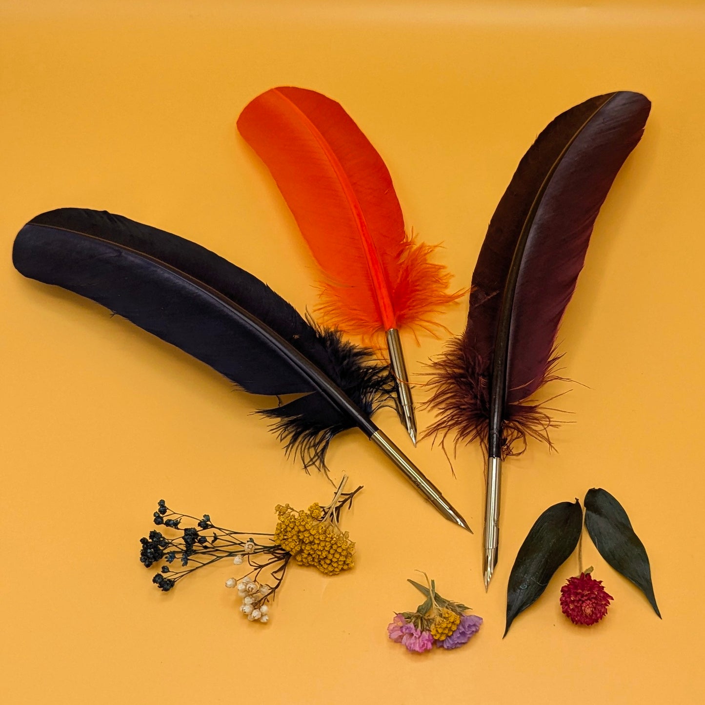 Feather Quill Pen