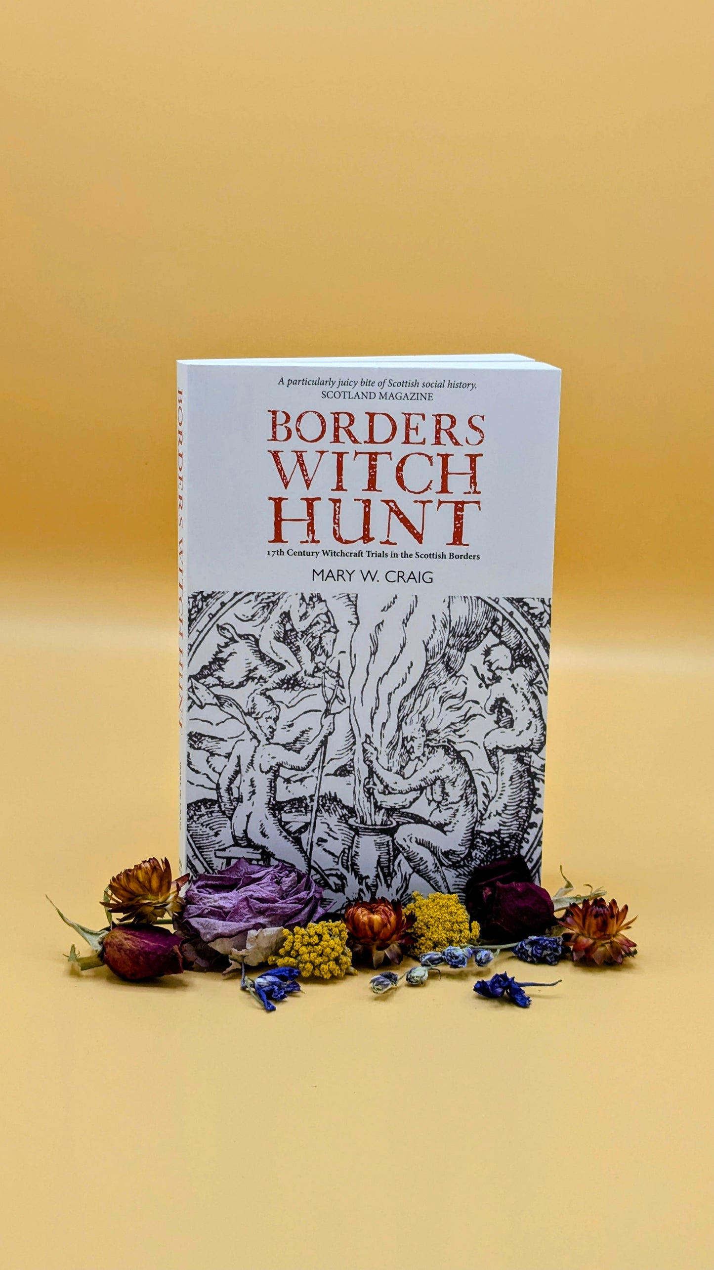 Borders Witch Hunt : The Story of the 17th Century Witchcraft Trials in the Scottish Borders