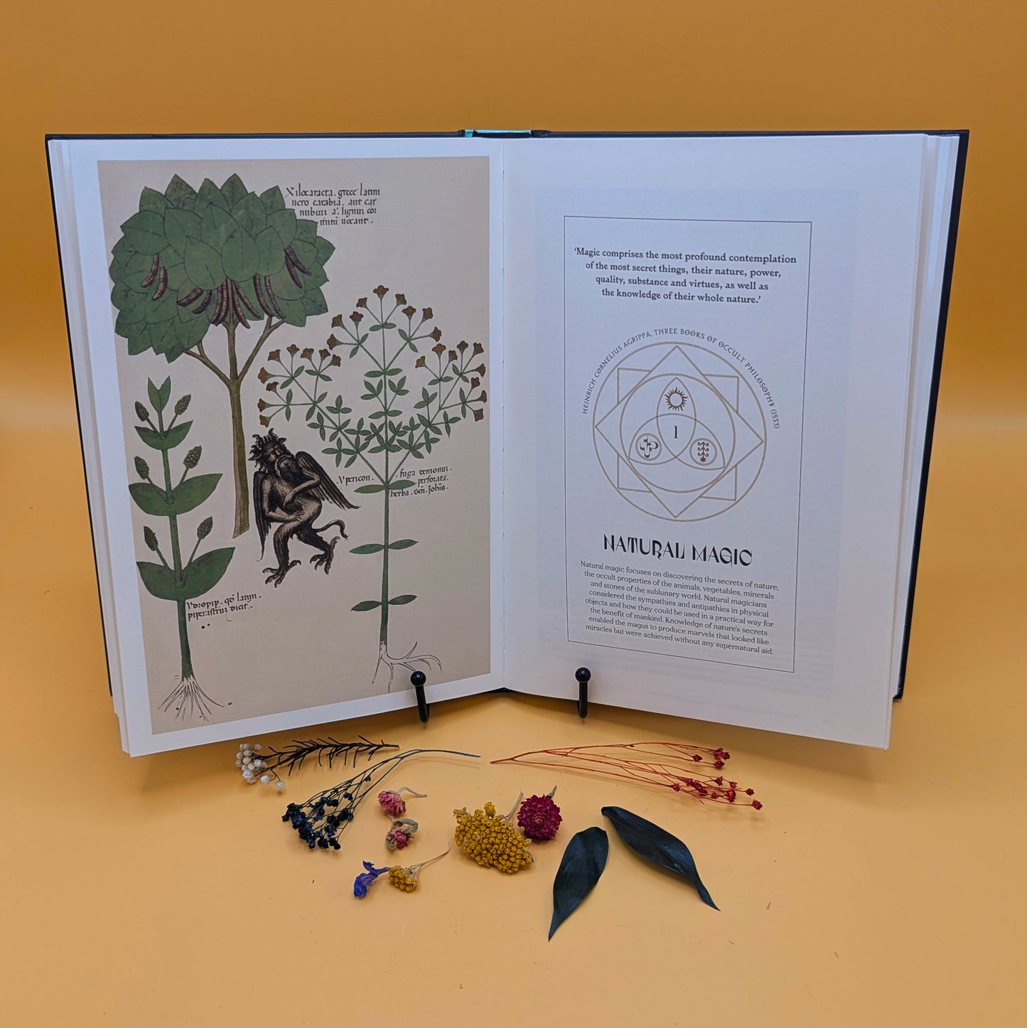 Occult: Decoding the visual culture of mysticism, magic and divination