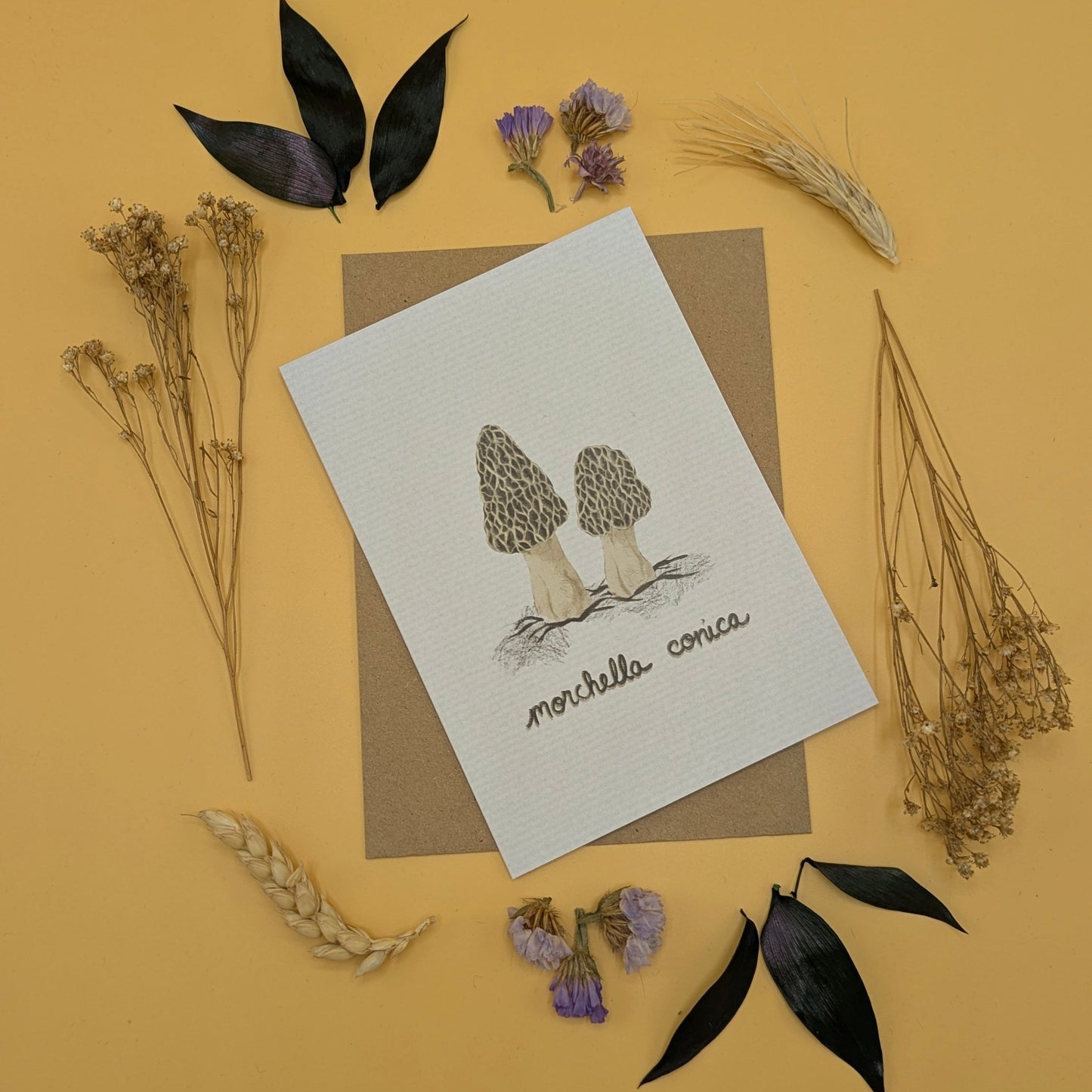 ‘Morchella Conica’ Greeting Card