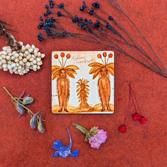 'Three Medieval Mandrakes' Fridge Magnet