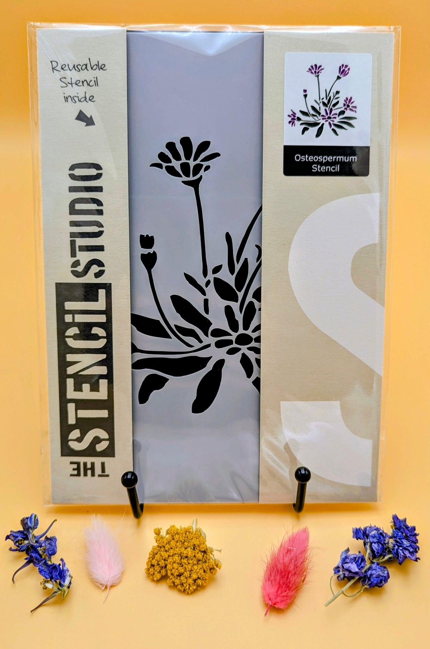 Osteospermum Stencil