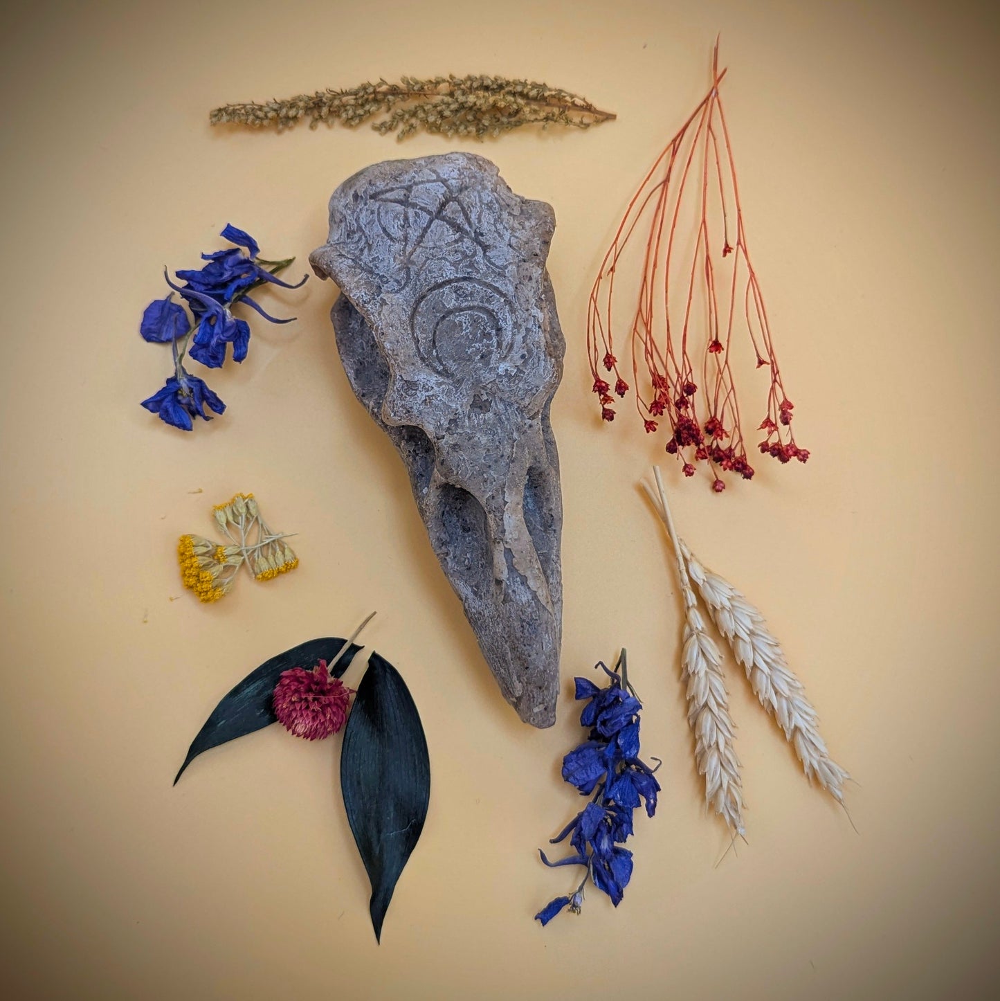 Crow Skull Shower Bar - 'Wildman'