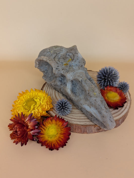 Crow Skull Shower Bar - 'Wildman'